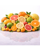 Frutos Cítricos