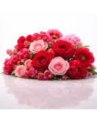Flores Rojas / Rosadas